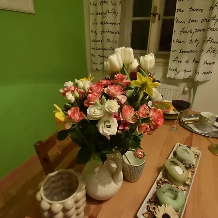 Romantic Downtown Attic * プラハ